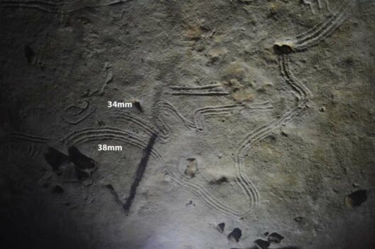 Children Participated 1