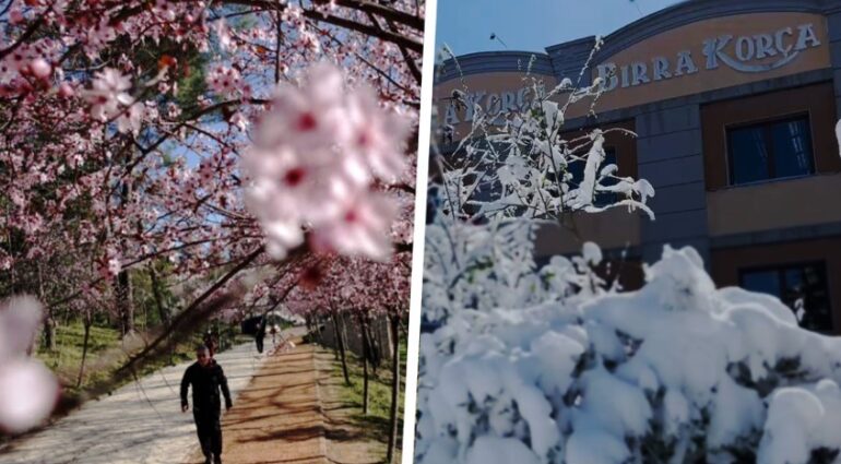 Tirana Dhe Bira Korça