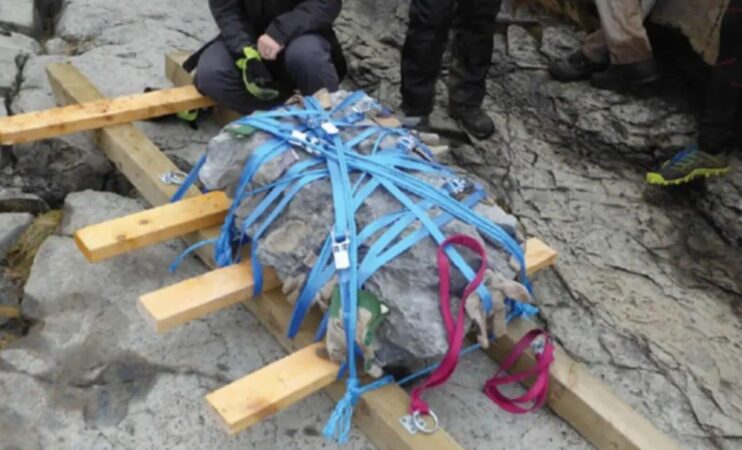 166 Million Year Old Dog Sized Baby Dinosaur Fossil Discovered On Isle Of Skye 1536x931