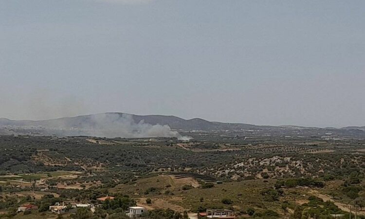 23658b03 Fotia Markopoulo