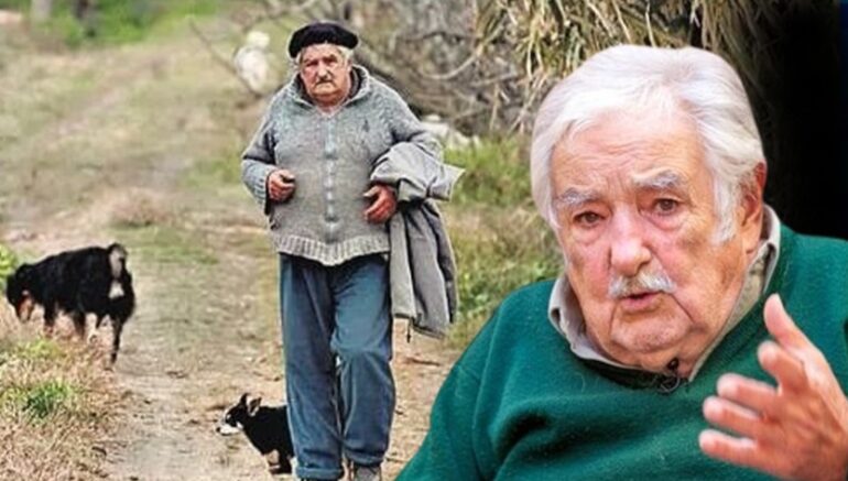 399859c8 B73a 4709 Afce 77d7b69b09ec