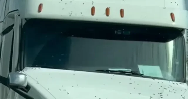 640 0 Ec69167f1cbfe8dfb4155a075bcaad34