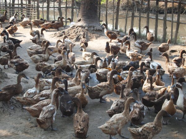 Whatsapp Image 2025 05 08 At 23.20.17