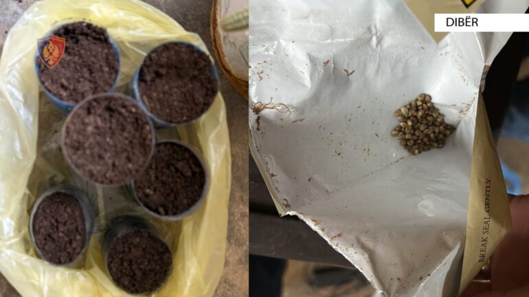 Whatsapp Image 2025 05 25 At 10.20.58 (2)