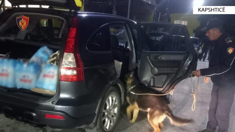 F41dab18 E554 4409 A709 Fef99bc827ac