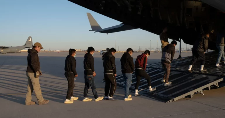 Metanastes Ameriki 1