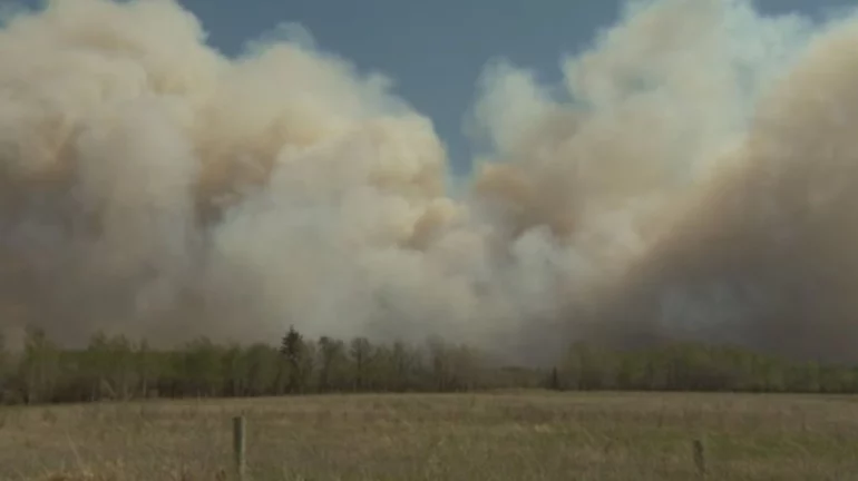 Mixcollage 15 May 2025 01 13 Am 2020