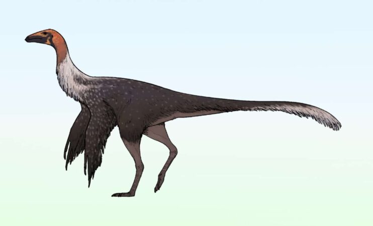 Scientists Stunned By Rare Dinosaur Fossil With Extra Long Arms Found In Mexico 1536x931
