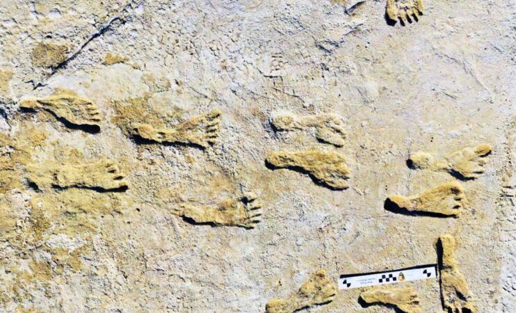 These 23000 Year Old Footprints Reveal Our Ancestors Walked Among Giant Prehistoric Creatures 1536x931