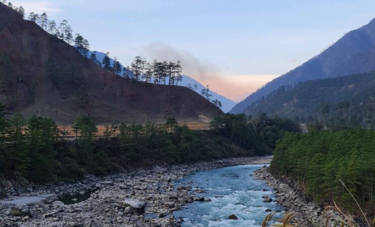 Thought Extinct For 100 Years This Incredible Creature Just Resurfaced In India 1536x931