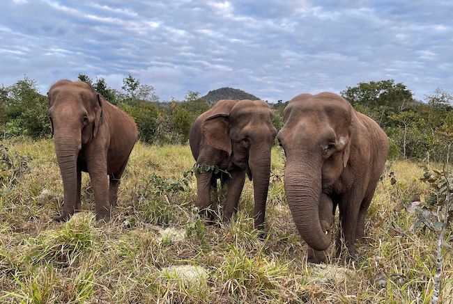 Used In Post 7.5 Rmb