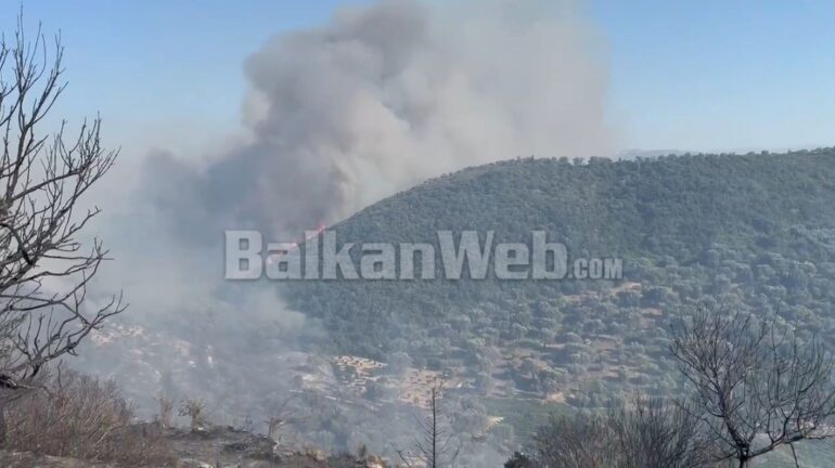 16be35b6 E8c6 4a42 8fd5 2fef8f1e4600