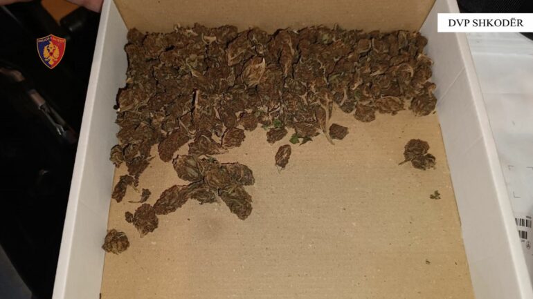 3ca9fd65 C7e4 4054 81b7 900920059bc2