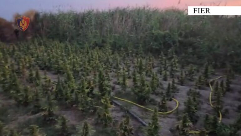 429974dd 60a5 48b2 878b 76c61626b49f