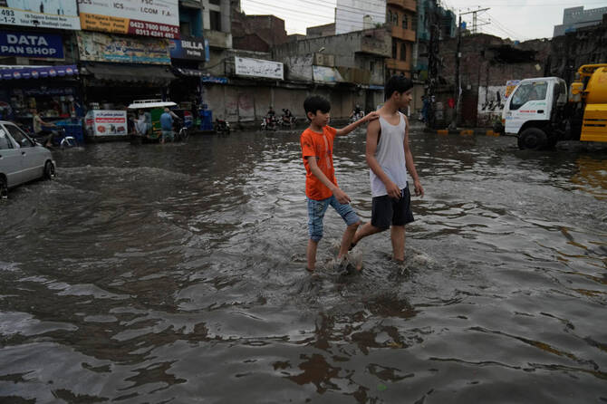 4616519 1780039709 (1)