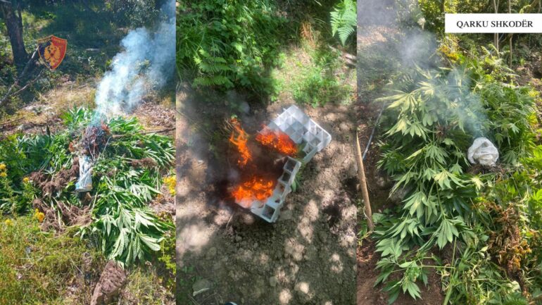 9444d8f1 Edf4 4eeb Bc6f C811a5f999cc