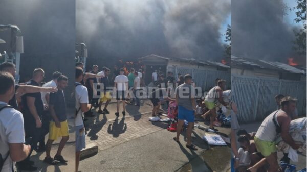 97e91bc2 7534 48ff Be89 82510524a497