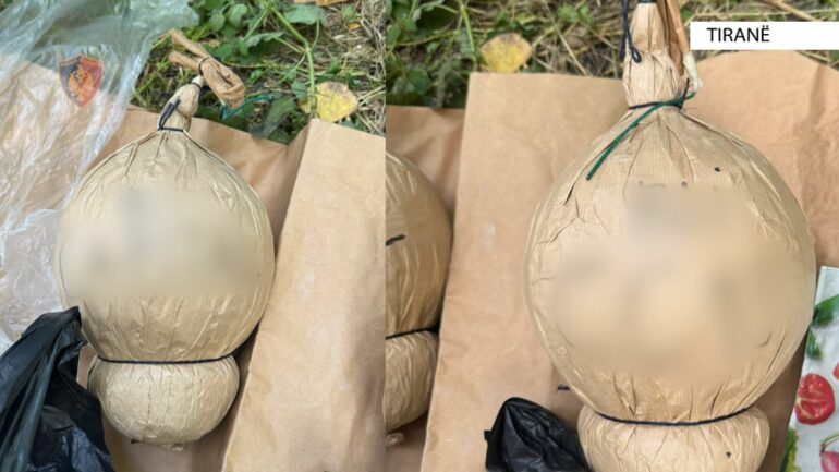 9eb7c60b 7e78 42f5 Bcc4 Be976c8d1291