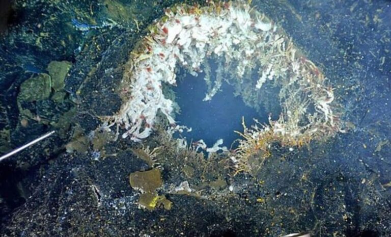 A Massive Underwater Volcano Located Approximately 300 Miles Off The