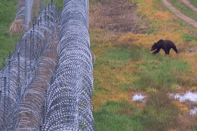 Whatsapp Image 2025 06 05 At 23.18.37