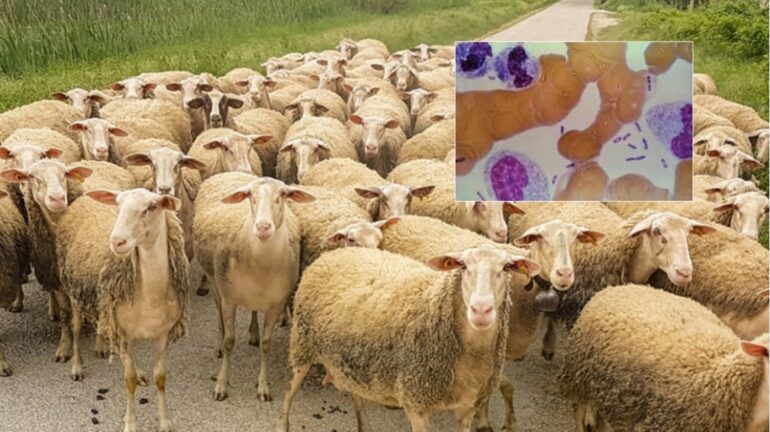 Whatsapp Image 2025 06 23 At 11.27.31