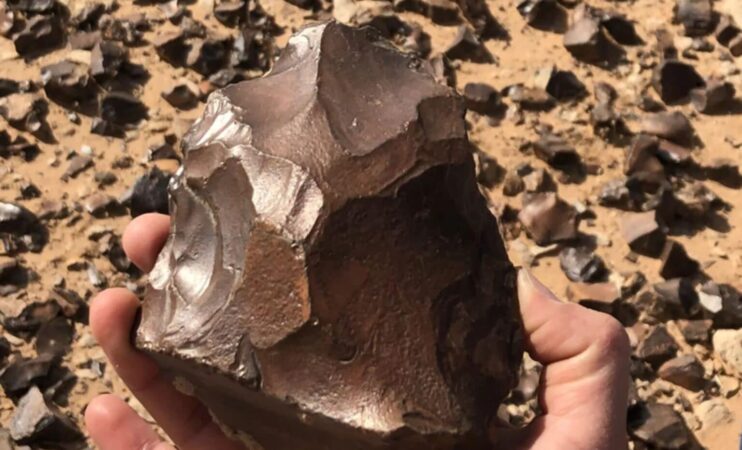 Archaeologists Uncover 15 Million Year Old Tools In The Heart Of The Desert 1536x931