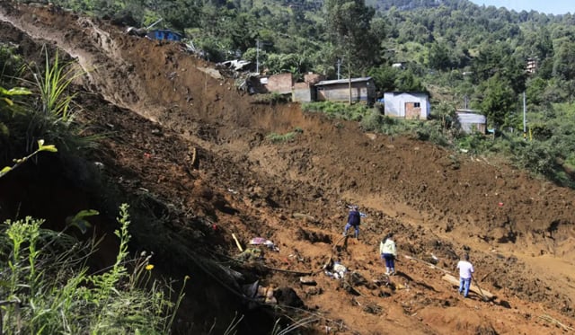 Image 286794 1750999216