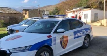 Policia Pogradec2