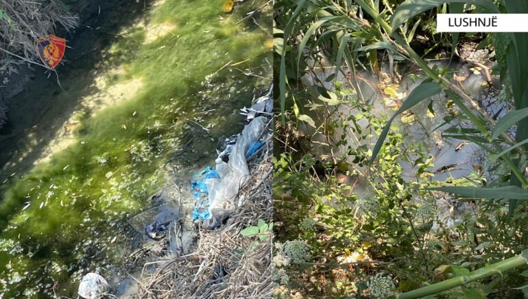 3816e844 A033 42d8 B491 96db63f34c4a