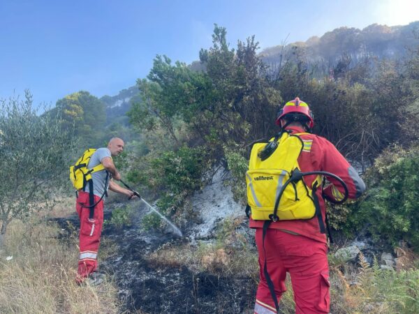 3981026e A534 4066 9fd0 98f61e911d38