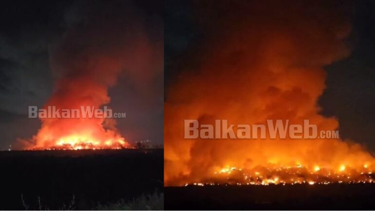 43bf50e8 7297 4fe6 9888 C75f64cdc63b