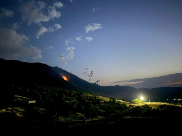 523503705 742318958498421 3585314887929468607 N