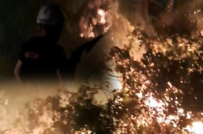 58828bb9 E528 4018 88ab 45ab2a1ff2c2