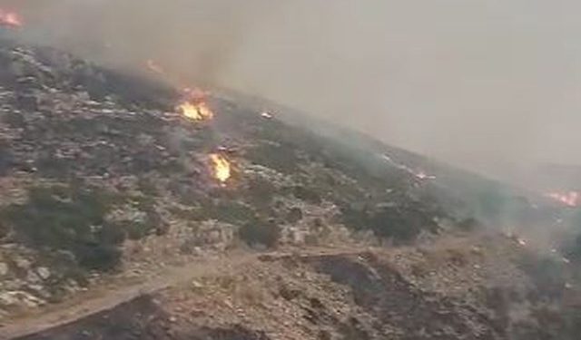 640 0 00jpg 1692892153 640x375