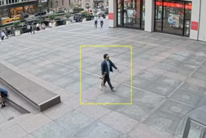 946982c0 6c33 11f0 9453 D5f74ab08fdc.png