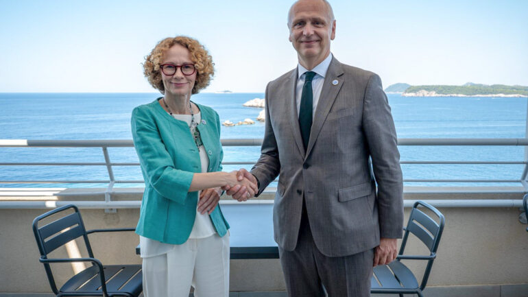 Amer Kapetanoviç Nato