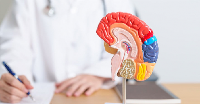 Screenshot 2025 07 21 155145 696x364