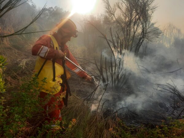 Whatsapp Image 2025 07 17 At 10.07.54