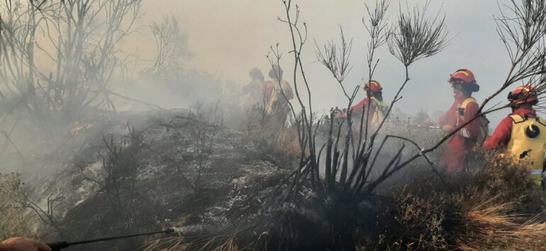 Whatsapp Image 2025 07 17 At 10.07.57