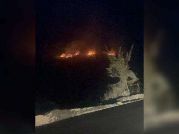 Whatsapp Image 2025 07 26 At 00.52.21