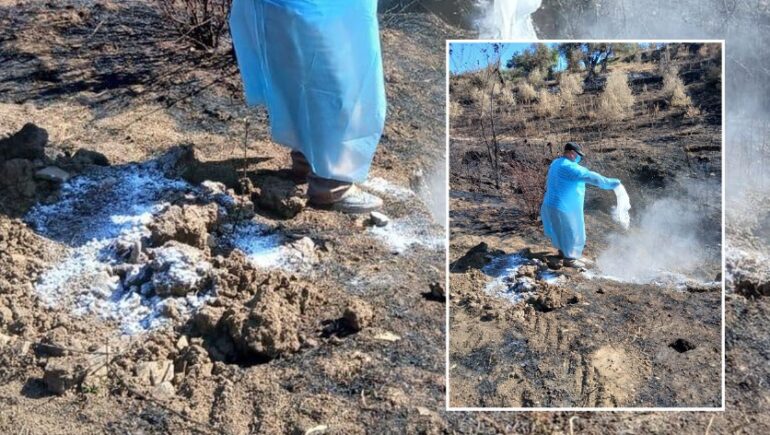 Whatsapp Image 2025 07 30 At 21.51.46 (1)