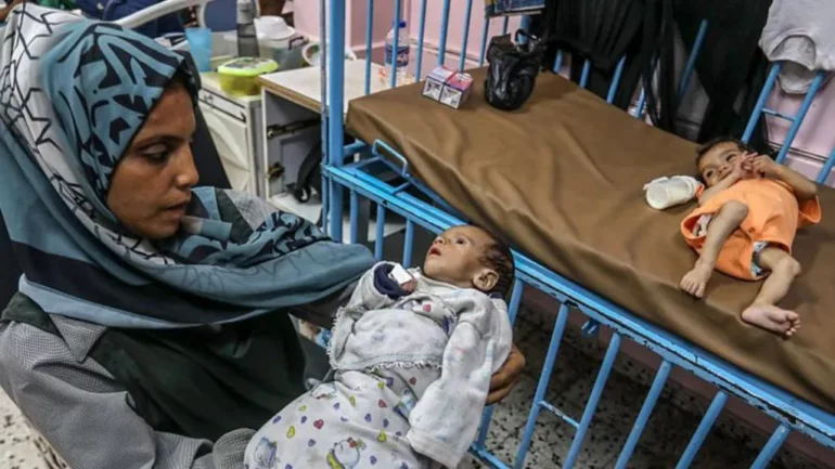 A6566580 68b3 11f0 A7a7 2fa09728ca14.jpg