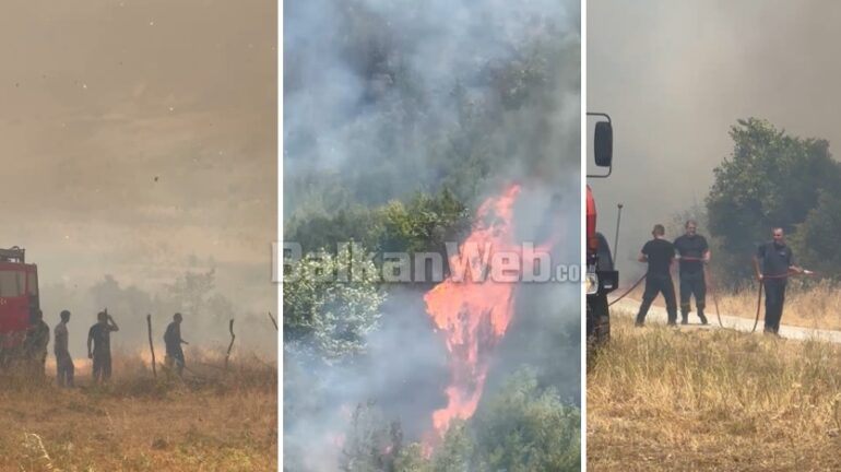 Bb7424b2 5704 4769 91bb E71c71042f21