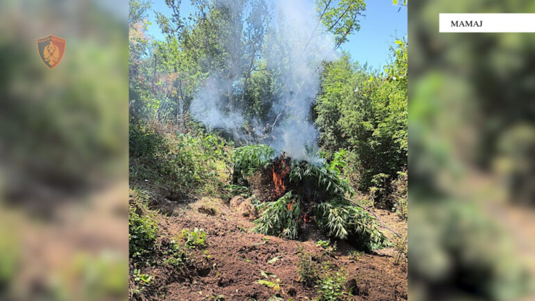 Bd51a707 5c80 40b7 A395 579addc34a26