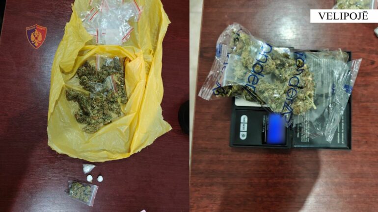 Bd7f4d0d Ead2 4419 B56e 60c3937217ee