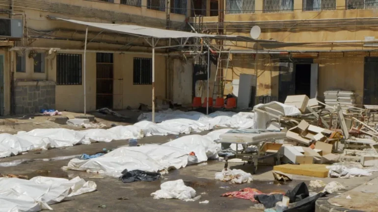 Cf81e5e0 671b 11f0 8139 991899391ed8.jpg