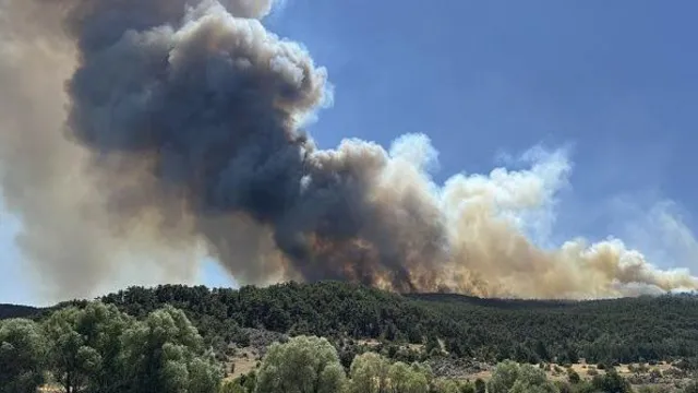 Edac1200 67f9 11f0 8c3a 352af5639695.jpg