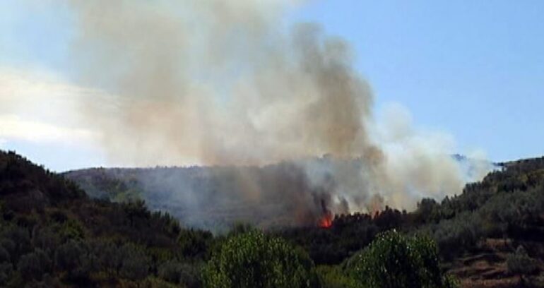 Marrin Flake Ullinjte1