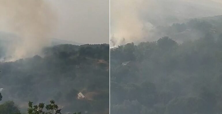 Sdfsdfsdfsdfdfsdfgfhg