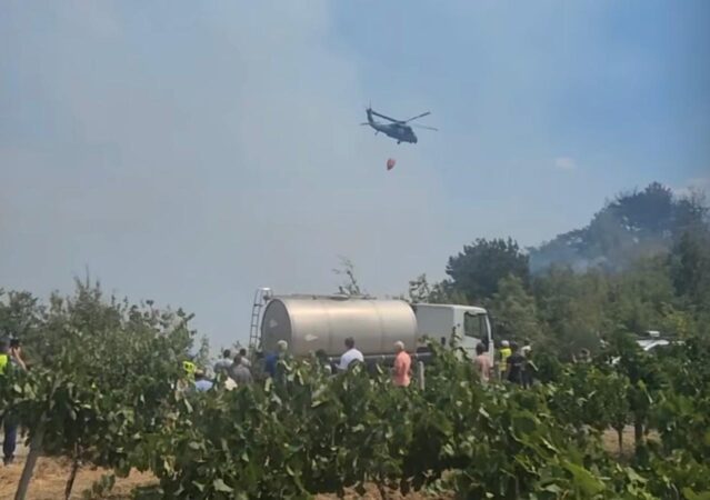 11076663 A1fe 4f5f 958e 85211fd5bfd5